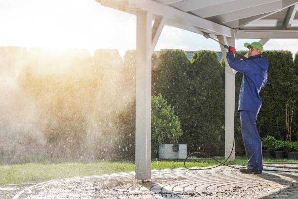 Best Graffiti Removal  in Omaha, TX