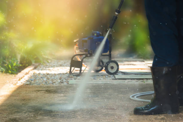 Animal Enclosure Cleaning in Omaha, TX